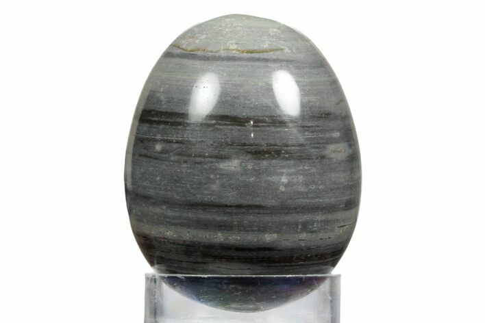 Polished Banded Shale Egg - New Mexico #356255